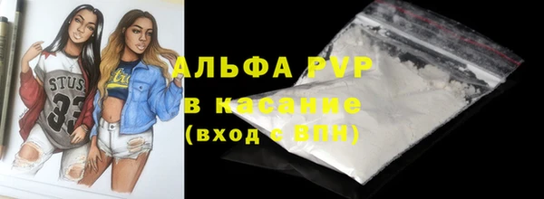 мет Алексин