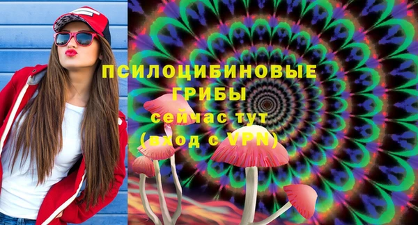 тгк Алзамай
