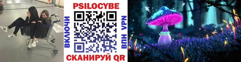 Псилоцибиновые грибы прущие грибы  omg ТОР  Сураж 