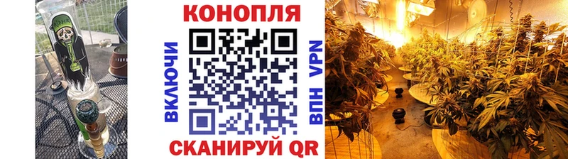 Каннабис гибрид  ОМГ ОМГ онион  Сураж 